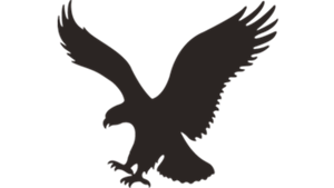 American Eagle